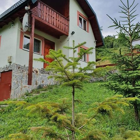 Villa Casa Dor De Ea à Dîmbovicioara Extérieur photo