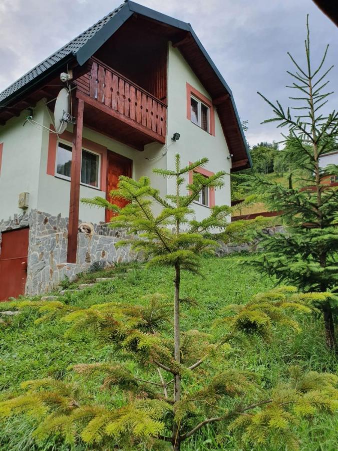 Villa Casa Dor De Ea à Dîmbovicioara Extérieur photo
