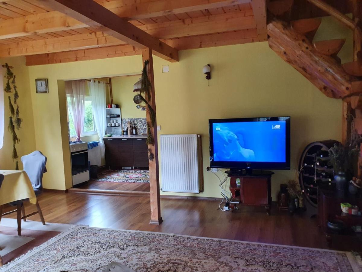 Villa Casa Dor De Ea à Dîmbovicioara Extérieur photo