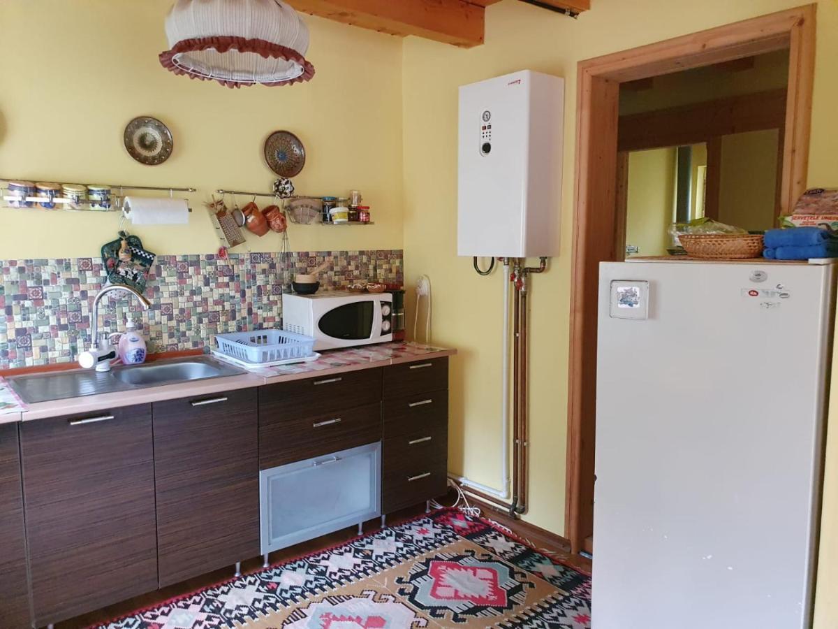 Villa Casa Dor De Ea à Dîmbovicioara Extérieur photo