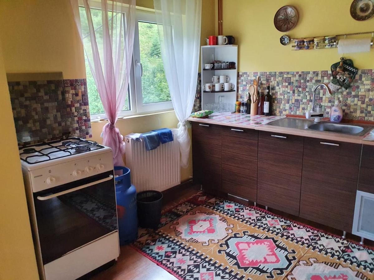 Villa Casa Dor De Ea à Dîmbovicioara Extérieur photo